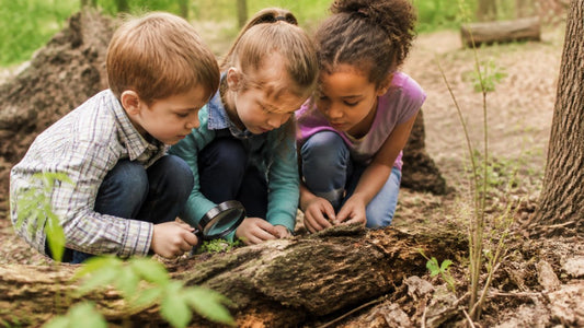 Experience Gifts for Child Development: Why They Matter
